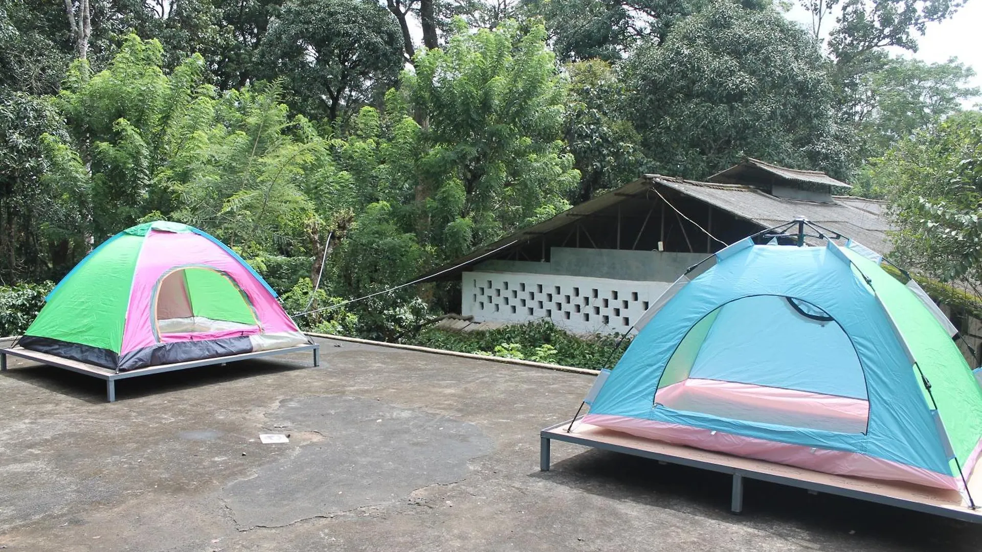 Woodside Homestay Wayanad Batheri India